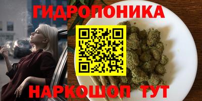 гидра Бузулук
