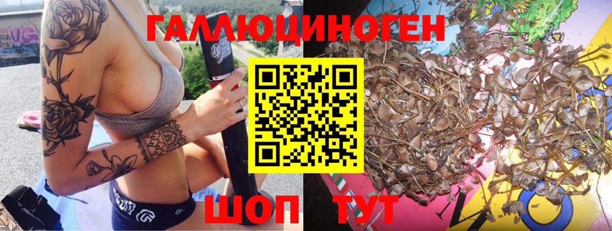 Галлюциногенные грибы MAGIC MUSHROOMS Новоалександровск