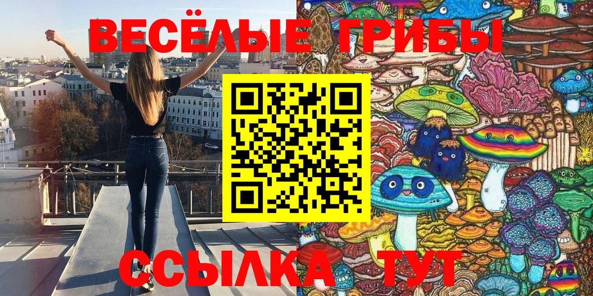 Новоалександровск  Псилоцибиновые грибы Psilocybine cubensis  Псилоцибиновые грибы Cubensis  Вход с VPN 